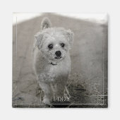 Pet Photo Timeless Keepomwille Dog mam Magneet (Voorkant)