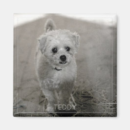 Pet Photo Timeless Keepomwille Dog mam Magneet