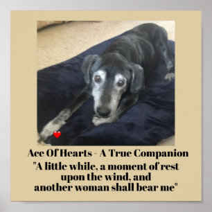 Pet Photo Typography Memorial Poster Paper (Matte)