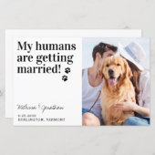 Pet Photo Wedding Dog Save the Date Cards Budget (Voorkant / Achterkant)