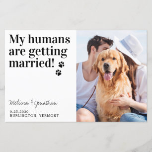 Pet Photo Wedding Dog Save the Date Cards Budget