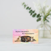 Pet Photography Modern Business Cards Visitekaartje (Staand voorkant)