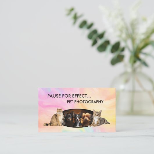 Pet Photography Modern Business Cards Visitekaartje (Staand voorkant)