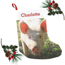 Pet Pig Lover Foto & Naam Gepersonaliseerd Kleine Kerstsok