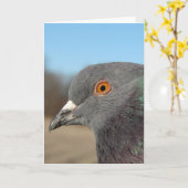 Pet Pigeon Kaart (Gele Bloem)