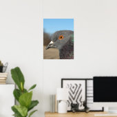 Pet Pigeon Poster (Thuiskantoor)