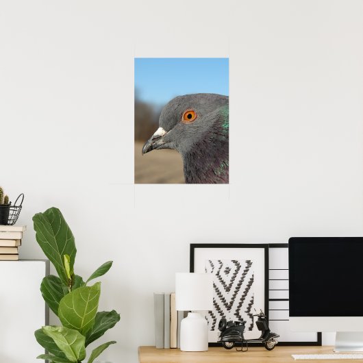 Pet Pigeon Poster (Thuiskantoor)