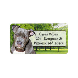 Pet Pitbull Dog-adreslabel Etiket