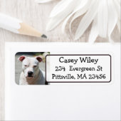 Pet Pitbull Dog-adreslabel Etiket (Insitu)