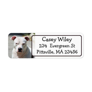 Pet Pitbull Dog-adreslabel Etiket