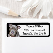 Pet Pitbull Dog-adreslabel Etiket (Insitu)