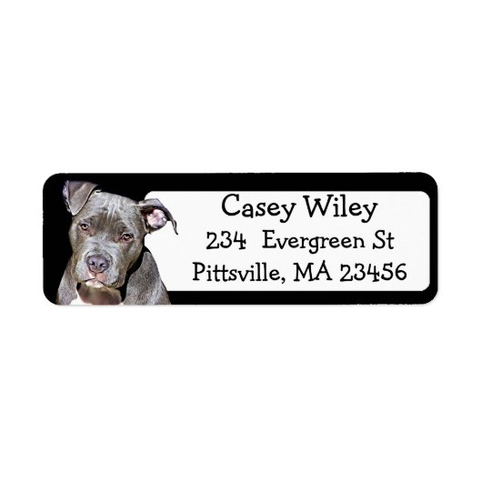 Pet Pitbull Dog-adreslabel Etiket (Voorkant)