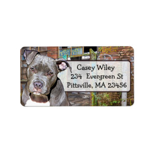 Pet Pitbull Dog Graffiti achtergrondlabel Etiket