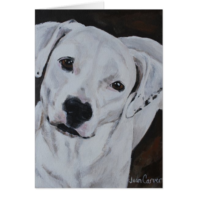 Pet Portrait - American Bulldog (Voorkant)