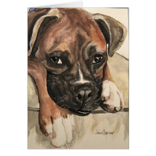 Pet Portrait - Boxer
