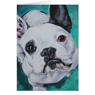 Pet Portrait - Franse Bulldog