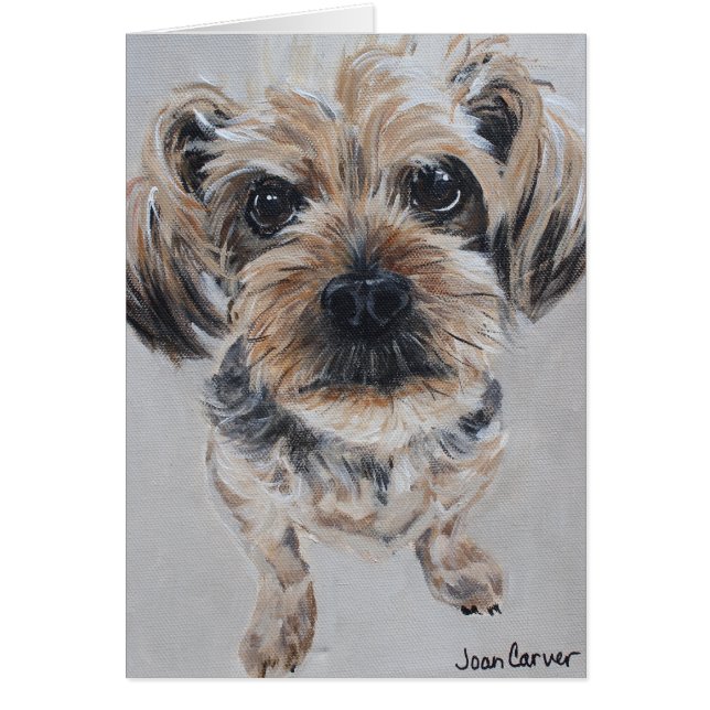Pet Portrait - Yorkshire Terrier (Voorkant)