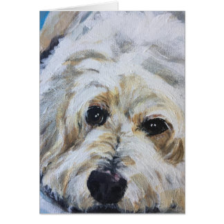 Pet Portret - Juno