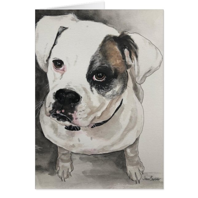 Pet Portret - Kapitein Jack - Amerikaanse hond (Voorkant)