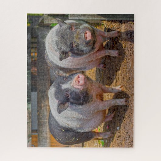 Pet Pot Belly Mini Pigs Jigzaag Puzzle Legpuzzel (Verticaal)