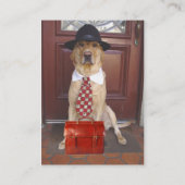 Pet-producten en -services visitekaartje (Achterkant)