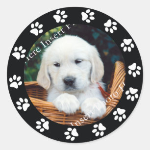 Pet Puppy Dog Paw Print Border Lijst Sticker Label