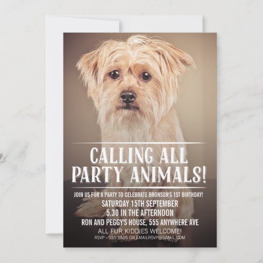PET PUPPY DOG'S PARTIJ PHOTO INVITE KAART (Voorkant)