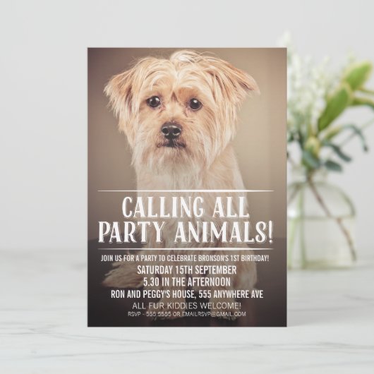 PET PUPPY DOG'S PARTIJ PHOTO INVITE KAART (Staand voorkant)