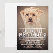 PET PUPPY DOG'S PARTIJ PHOTO INVITE KAART (Voorkant / Achterkant)