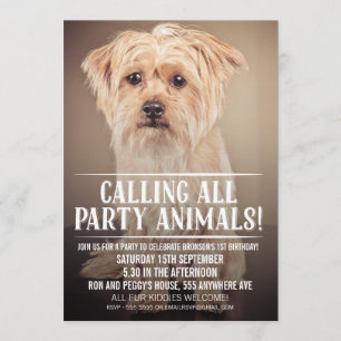 PET PUPPY DOG'S PARTIJ PHOTO INVITE KAART