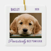Pet Puppy Hond Foto Passief Beste Jaar Ooit Keramisch Ornament (Voorkant)