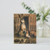 Pet Rabbits en Baby Bunnies die Briefkaart eten (Staand voorkant)