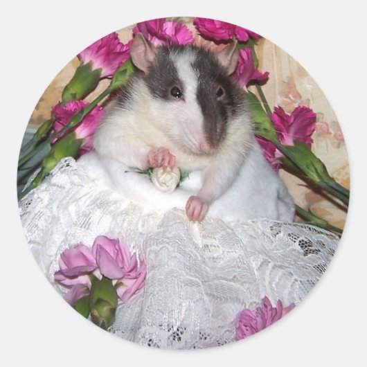 Pet Rat Bride Trudy Stickers (Voorkant)