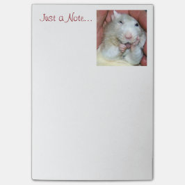 Pet Rat Bridget Post Hij merkt op Post-it® Notes