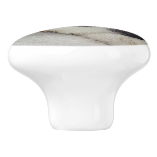 Pet Rat Dresser Knop (Zijkant)