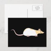 Pet Rat. Fawn and White Hooded Variegated. Briefkaart (Voorkant / Achterkant)