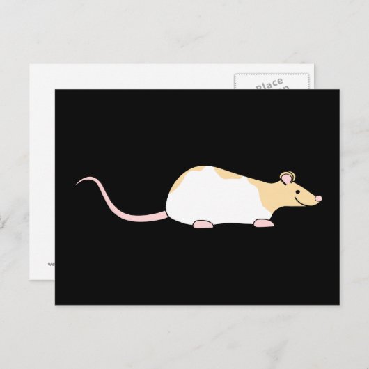 Pet Rat. Fawn and White Hooded Variegated. Briefkaart (Voorkant / Achterkant)