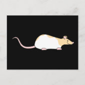 Pet Rat. Fawn and White Hooded Variegated. Briefkaart (Voorkant)