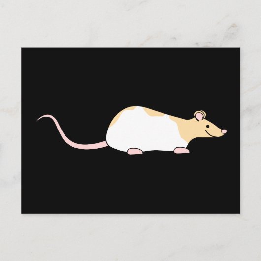 Pet Rat. Fawn and White Hooded Variegated. Briefkaart (Voorkant)