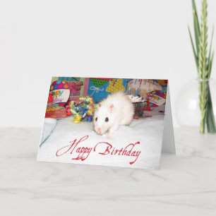 Pet Rat Marta Verjaardag Kaart