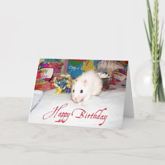 Pet Rat Marta Verjaardag Kaart (Voorkant)
