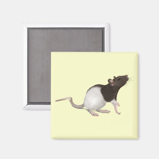 Pet Rat Painting Magneet (Voorkant / Achterkant)