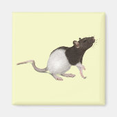 Pet Rat Painting Magneet (Voorkant)