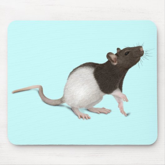 Pet Rat Painting Muismat (Voorkant)