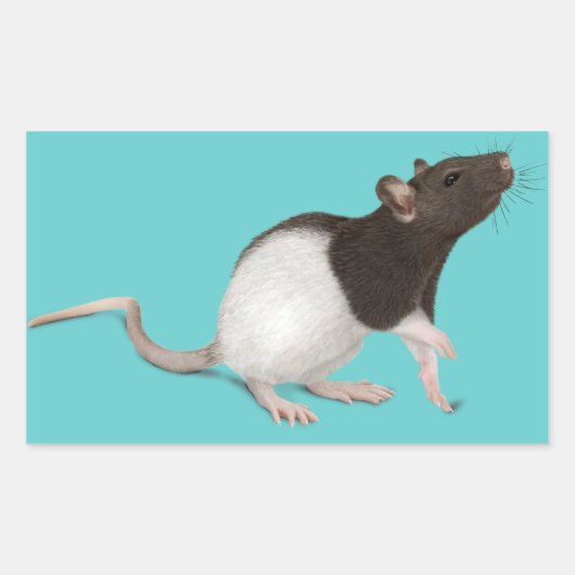 Pet Rat Painting Rechthoekige Sticker (Voorkant)