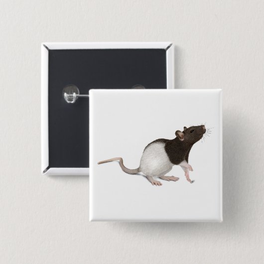 Pet Rat Painting Vierkante Button 5,1 Cm (Voorkant /achterkant)