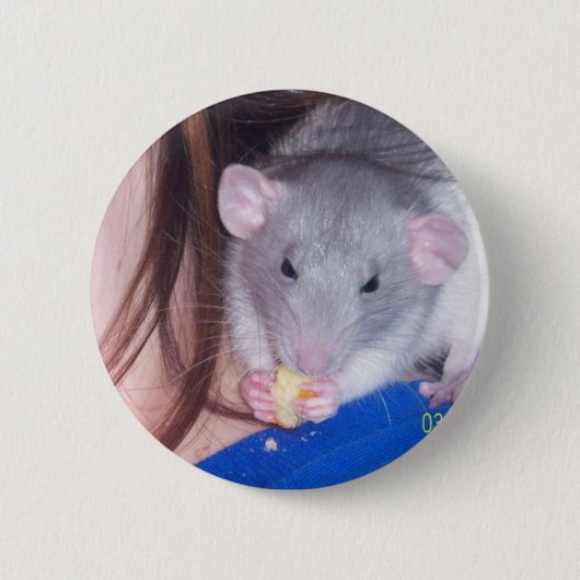 Pet Rat Pinback Button (Voorkant)