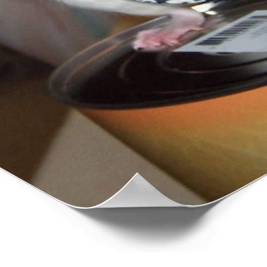 Pet Rat Ruby Poster - Kilt (Hoek)