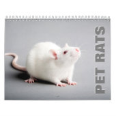 Pet Rats Wall Agenda Kalender (Hoes)