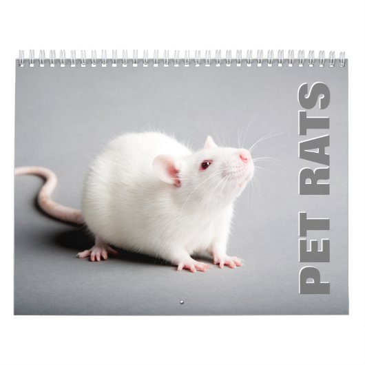 Pet Rats Wall Agenda Kalender (Hoes)